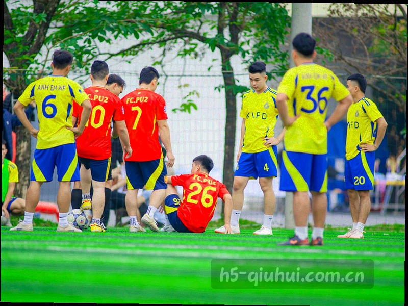 进失球分布扇形图与柱状图